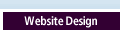 NetCasters' Website Design
