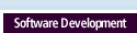 NetCasters' Software Development