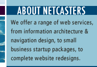 About NetCasters. We offer a wide range of web services. 